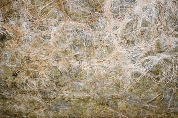 Fas abstract background in the form of a paper-covered rhizome