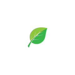 Mint leaves flat vector icon