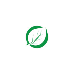 Obraz premium Mint leaves flat vector icon