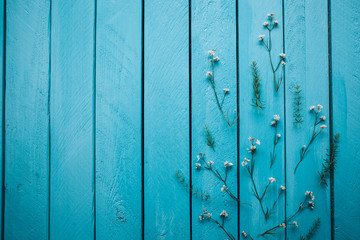 Fototapeta na wymiar Field flowers on a blue wooden background