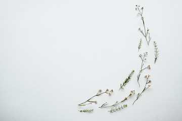 Colorful pattern of field flowers on a white background