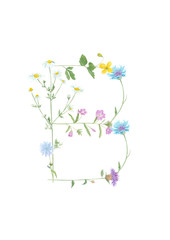 Watercolor hand drawn wild meadow flower alphabet collection. Letter B (fireweed, chamomile, celandine, cow vetch, cornflower, knapweed)  isolated on white background. Monogram element for summer.