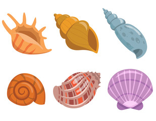 Set of underwater shells. Beautiful objects in cartoon style.