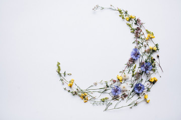 Pattern of a field flowers on a white background, expounded in a circle