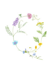 Watercolor hand drawn wild meadow flower alphabet collection. Letter Q (cow vetch, dandelion, cornflower,  chicory, clover, dandelion, yarrow)  isolated on white background Monogram element for summer