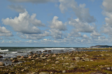 Beautiful cumulus clouds on the sky above the sea