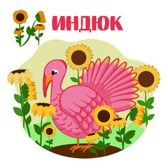 Turkey. vector illustration Turkey. Sunflower. ABC card. alphabet for children