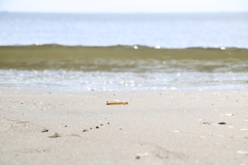 都会の海