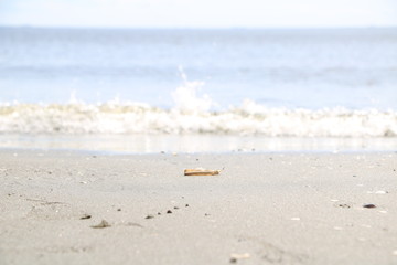 都会の海