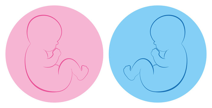 Twins pictogram. Baby boy and baby girl on blue and pink round background. Isolated outline vector illustration.
