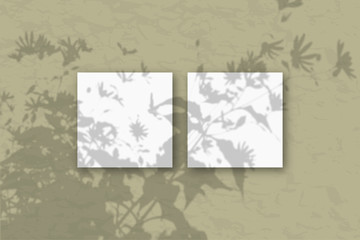 2 square sheets of white textured paper against a olive wall. Mockup overlay with the plant shadows. Natural light casts shadows from the tops of field plants and flowers. Flat lay, top view