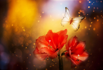 A fabulous magical photo of an exotic tropical flower of red amaryllis and fluttering butterflies....
