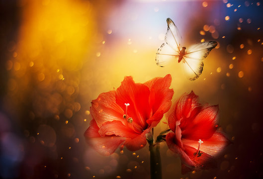 A fabulous magical photo of an exotic tropical flower of red amaryllis and fluttering butterflies. fantastic image with sparkling bokeh. Paradise place.