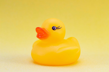 duck on a yellow background minimally creative concept. bathing babies