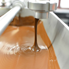 Production of pralines in a factory for the food industry - automatic conveyor belt with chocolate 
