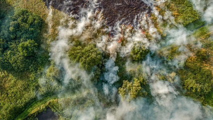  Fire, burning fields, Poland, Mazovia © Marcin Ziółkowski