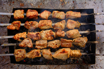 The meat on the coals, barbecue in nature, a barbeque in the Park, a dish with smoke