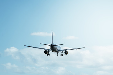 rear view of a flight in a clear blue sky
