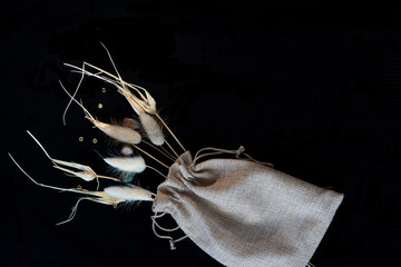 cotton light bag, twigs of dried flowers on a black background, clean ecology
