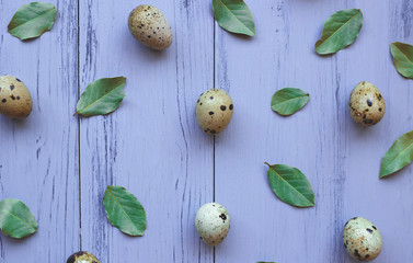 quail eggs and laurel leaves on a gray wooden background