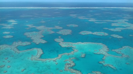 Obraz premium Great Barrier Reef, Australia