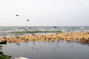 Les test de terrains