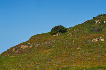 Green cliff and blue sky