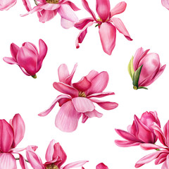 seamless pattern of pink magnolia on an isolated white background, watercolor flowers