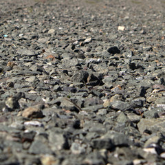 Texture of rocks