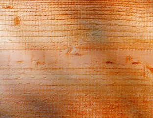 Lärchenbrett Nahaufnahme, Lärche