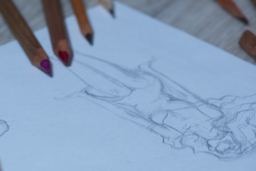 Sketches, sketching on white paper with a simple pencil. Colour pencils.
