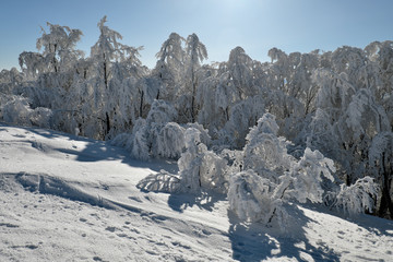 Winter in the Bieszczady National Park