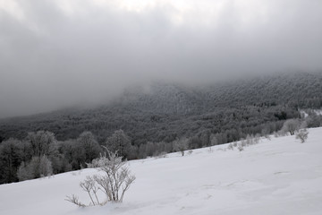 Winter in the Bieszczady National Park