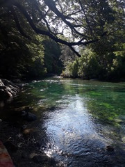river in the forest. Bariloche Patagonia Argentina