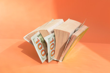 
Banknotes of dollars money hidden in a book. Budget Saving. Time to get saved money in times of...