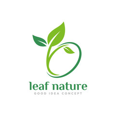 Leaf Nature Logo Design Vector