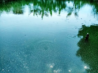 water reflection in the water