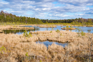Trakai historical national park, botanical zoological reserve, cognitive trail, long winding path over the bog in the forest, swamp, marsh, tiny lakes