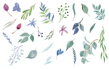Watercolor set of illustration of tropical leaves, for wedding cards, romantic prints, fabrics, textiles and scrapbooking. - 336121803