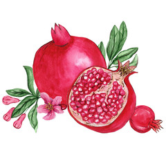 Watercolor illustrations of pomegranate for wedding cards, romantic prints, fabrics, textiles and scrapbooking. - 336121866