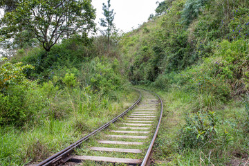 Obraz premium Sri Lanka 