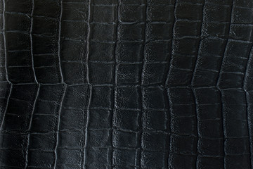 Black genuine leather of crocodile skin as for luxury background.