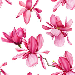 seamless pattern of pink magnolia on an isolated white background, watercolor flowers