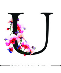 Alphabet Letter Z Watercolor Floral Background