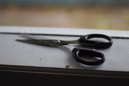 a scissor in the window. royalty free images