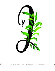 Letter Alphabet with Watercolor Leaves Background