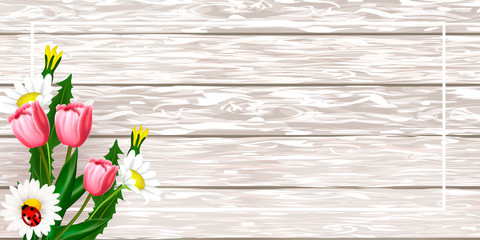 Obraz premium Spring card with sakura, blooming branch and grass on wooden background. 