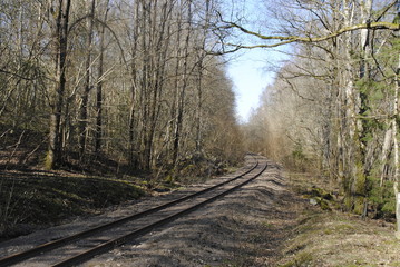 Fototapeta premium old train track