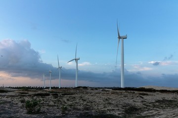wind turbine in the field