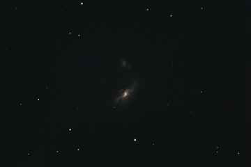 Obraz na płótnie Canvas The Cocoon Galaxy NGC 4490 in the constellation Canes Venatici photographed with a Maksutov telescope from Mannheim in Germany.